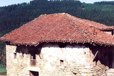 Zaloa, Orozko, Bizkaia. Casero Basterra (al fondo, las estribaciones del Monte Gorbea). Aqu vivieron los Basterra, antepasados nuestros. Conocemos su linaje hasta el siglo XVI. Foto tomada en octubre de 2002.